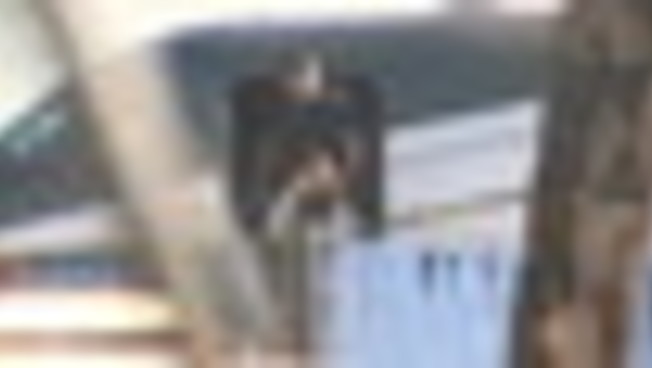 Flavio Bolsonaro è atterrato negli Stati Uniti, le immagini da Miami