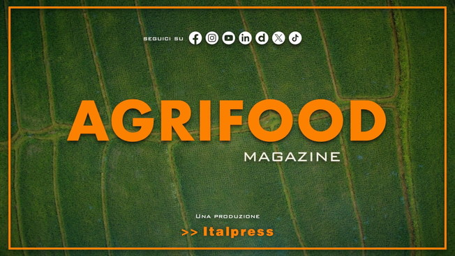 Agrifood Magazine - 28/10/2026