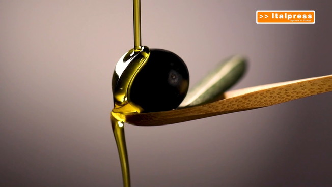 Olio d'oliva, mercato in difficoltà: 16 milioni per l'extravergine Dop e Igp